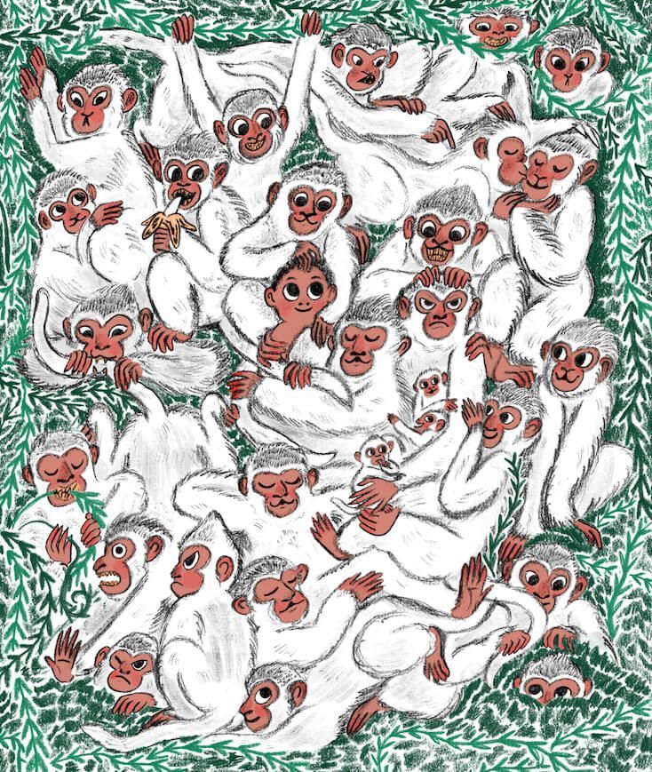 Digital Illustration by Marianna Madriz. Group of cute monkeys on a leafy background.